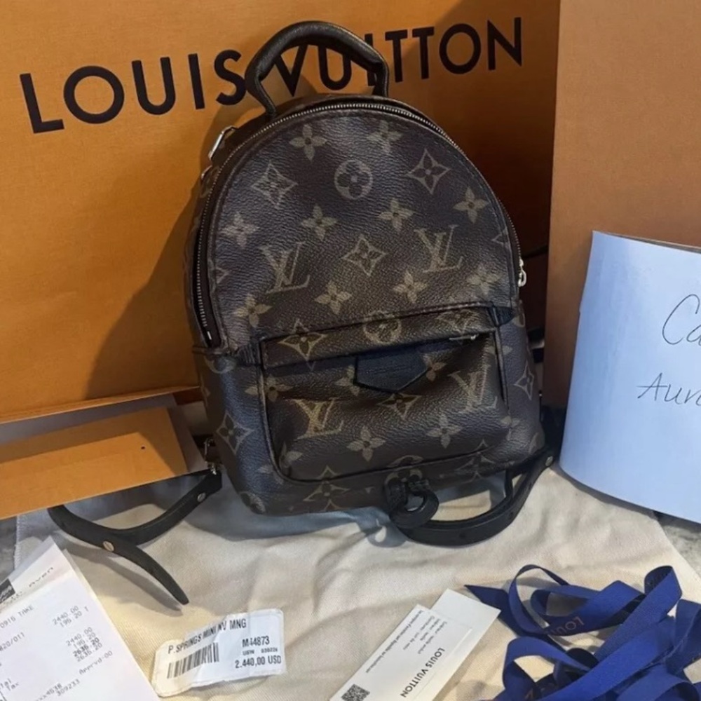 Louis Vuitton Palm Springs Mini